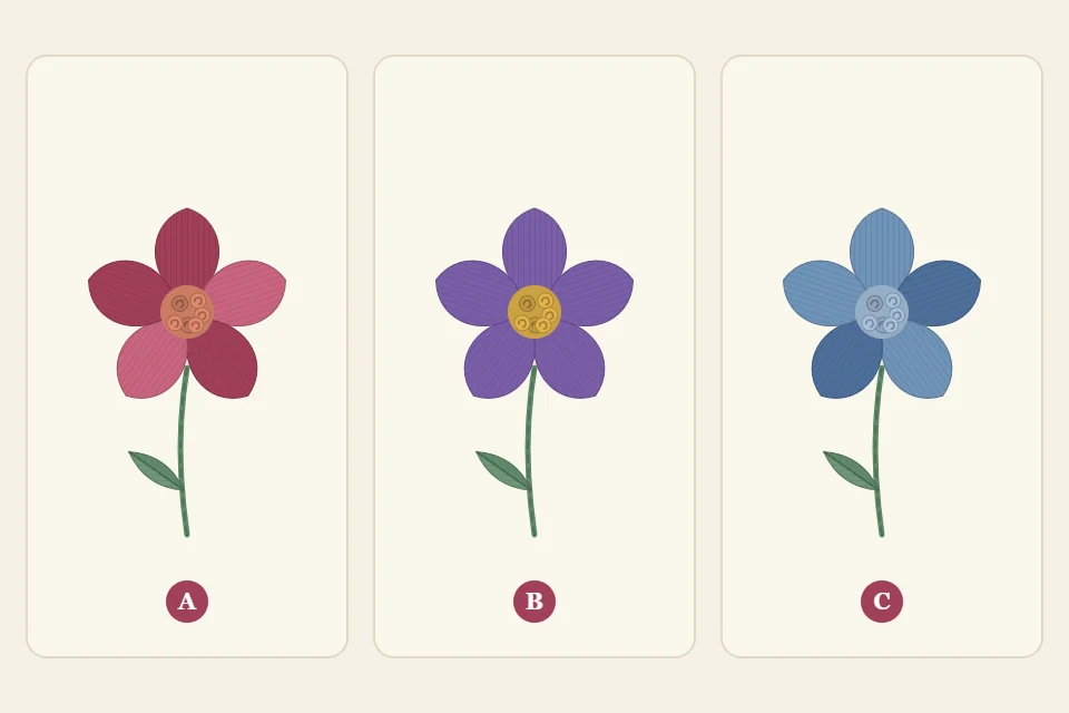 The same five-petal flower shown three times, labeled A, B and C: an analogous palette of pinks and corals, a complementary palette of violet with a yellow center, and a monochrome palette of three blues