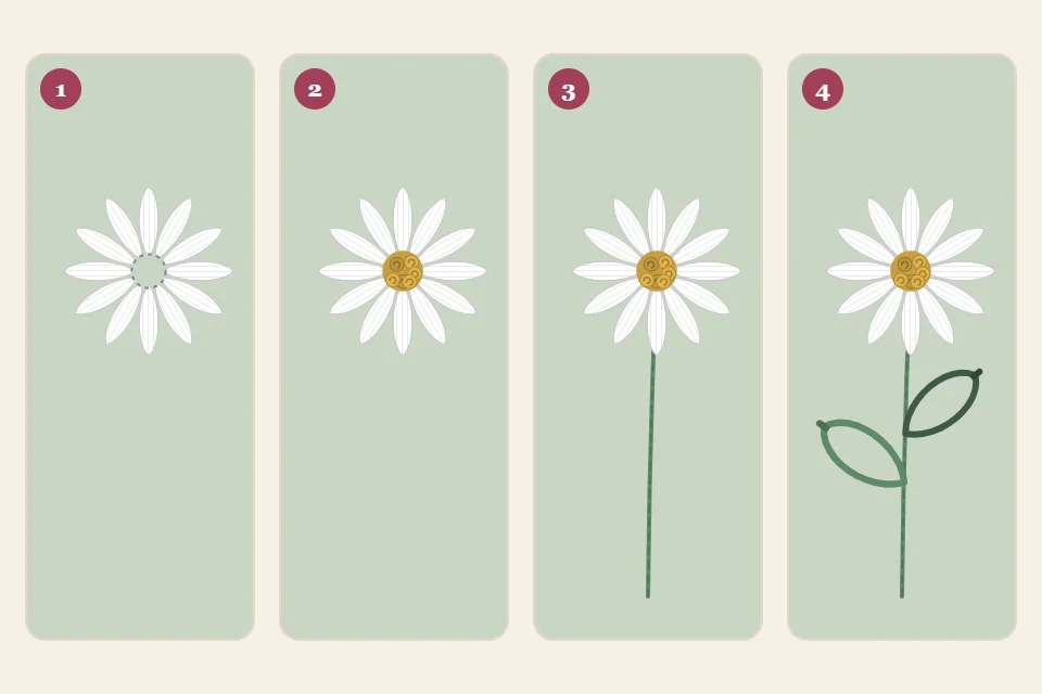 One daisy shown in four numbered stages: white petals, yellow center knots added, green stem added, and leaves added