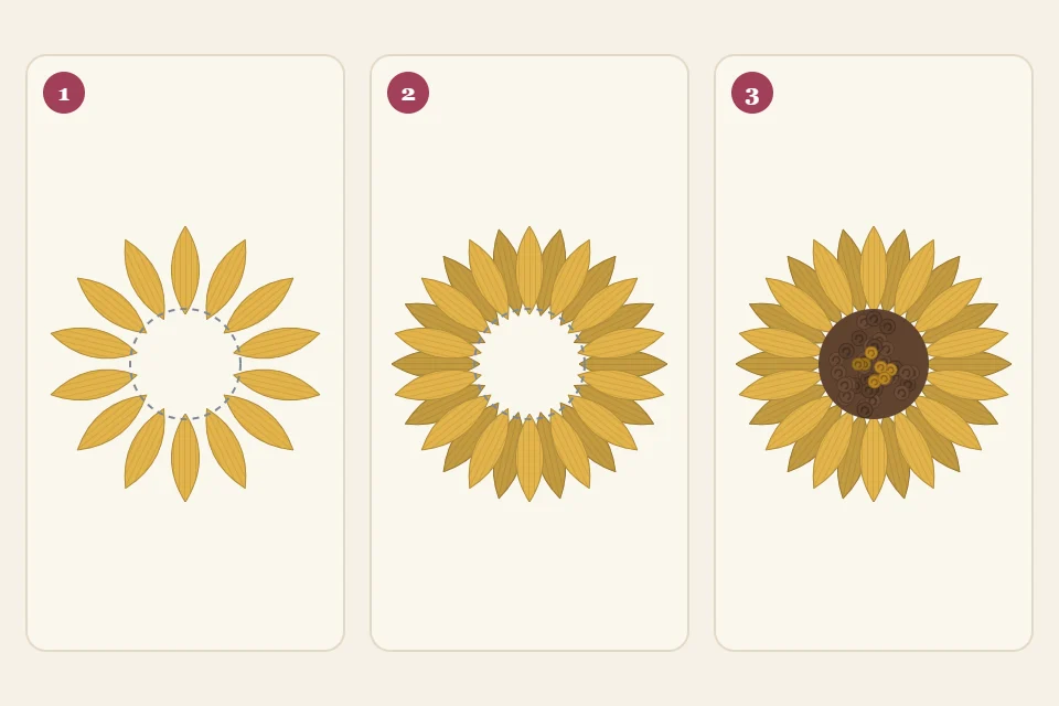 A sunflower in three numbered stages: a first ring of pointed yellow petals around an empty circle, a second ring of petals offset in the gaps, and the center filled with dark brown knots