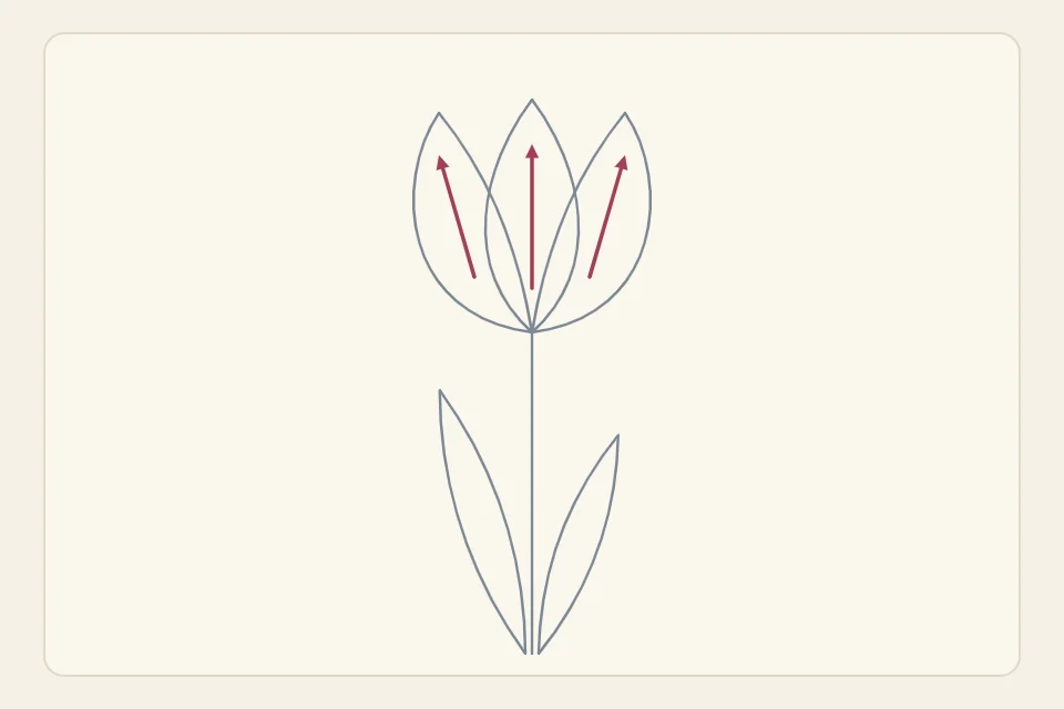 A tulip drawn as an outline: a cup of three petals, a straight stem and two long blade leaves, with small arrows inside each petal showing the stitch direction