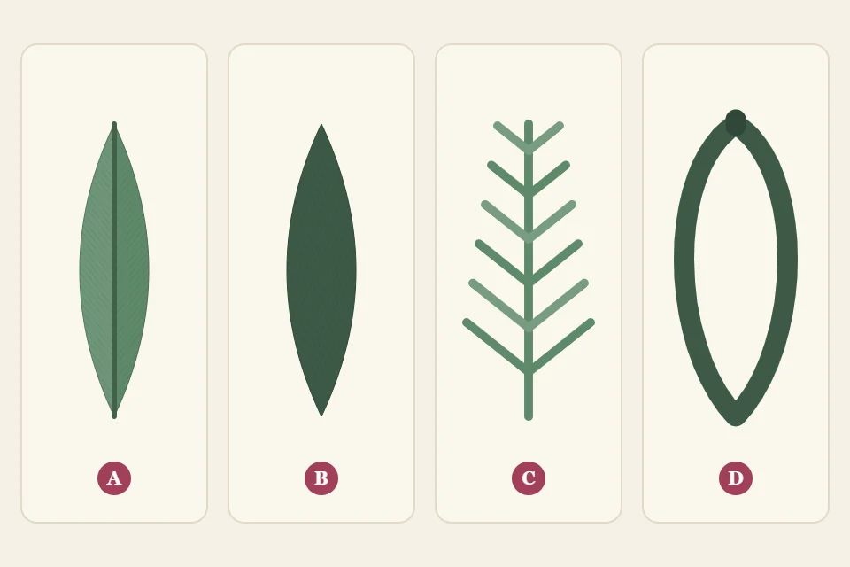 Four stitched leaf types side by side labeled A to D: A fishbone leaf, B satin stitch leaf, C fly-stitch fern, D lazy daisy leaf