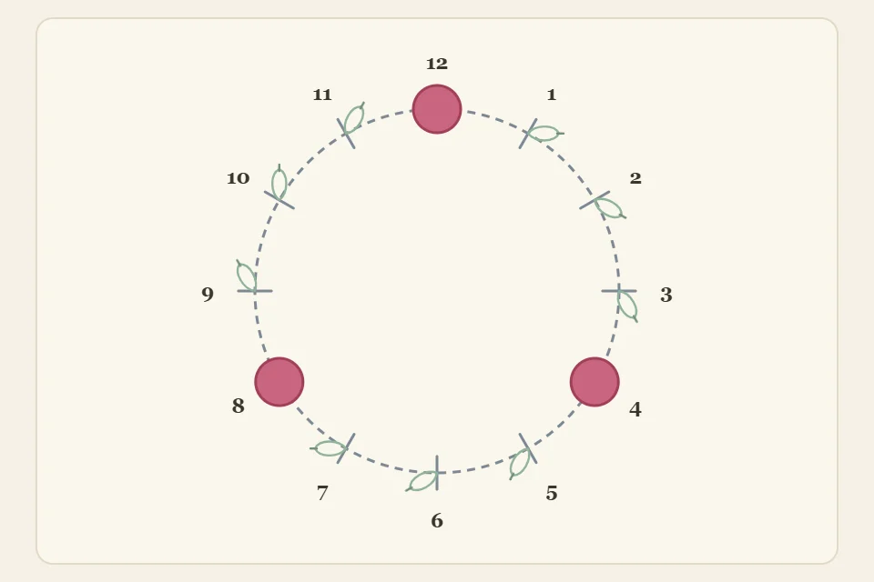 Guide circle marked like a clock face with three larger dots for focal flowers at 12, 4 and 8 o'clock and small leaf marks along the circle between them