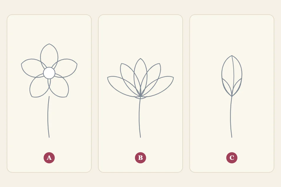 One flower drawn three ways, labeled A, B and C: facing front, seen from the side, and as a closed bud