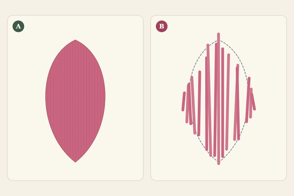 Two petals labeled A and B: A with stitches following the petal's direction and smooth edges, B with gaps between stitches and a ragged edge